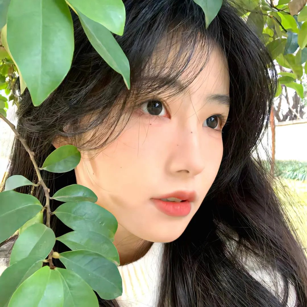 极限挑战第二季
