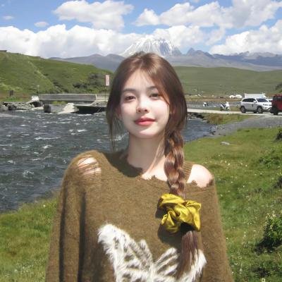 地域骑兵